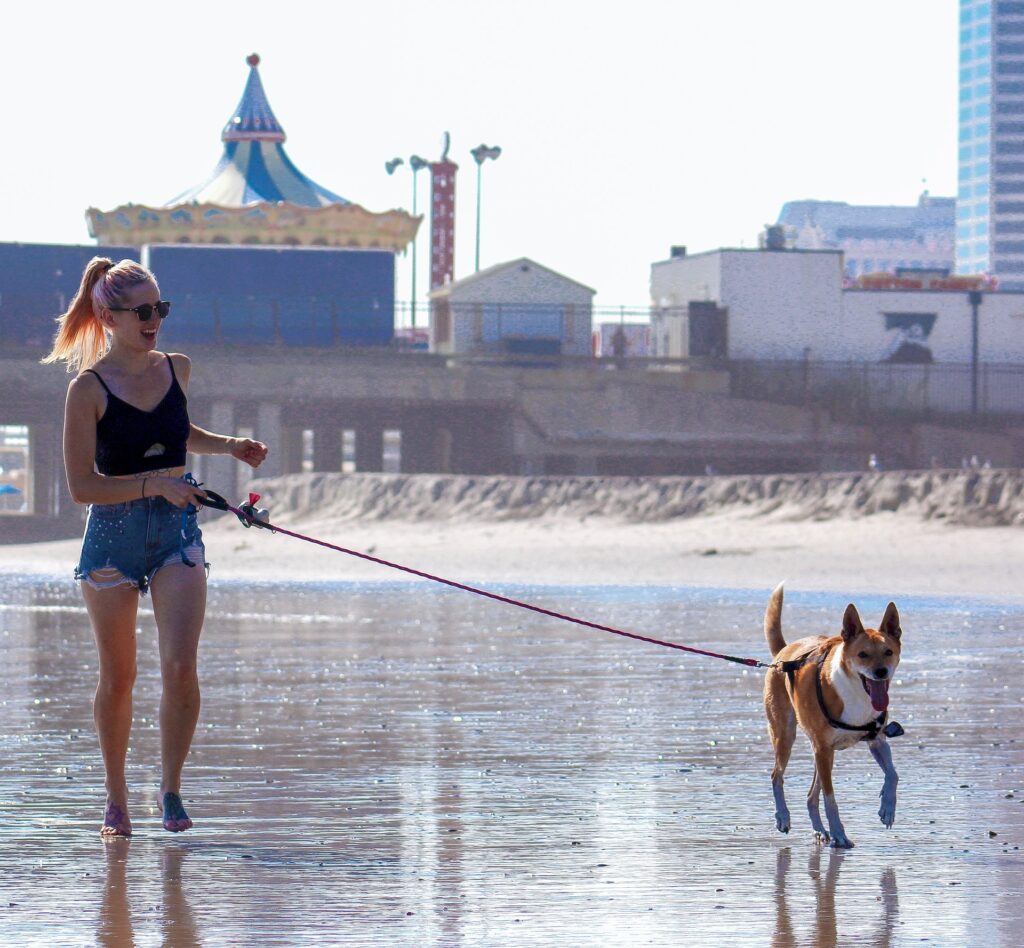 Student walking a dog or pet sitting to earn extra money